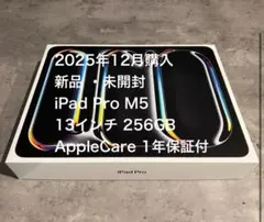 2025年12月末日まで 20万円ポッキリ 【 新品 未使用 】 iPad