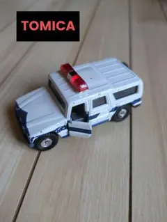 Item thumbnail for item e270b933-a259-45e3-9dd4-204a01e1281e