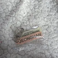 SEVENTEEN JEONGHAN キーホルダー