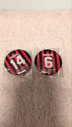 みい様専用　バッジ