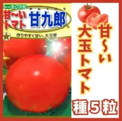 つくも様 リクエスト 4点（甘九郎５、アーティチョーク、サラダ人参、藤姫）