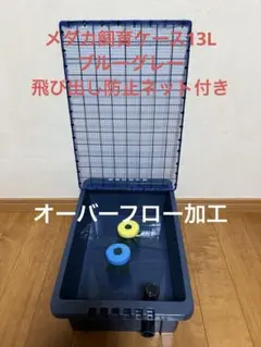 2026年最新】NV box 13 メダカの人気アイテム - メルカリ