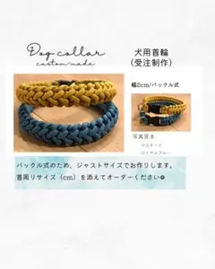 犬用首輪 パラコード ハンドメイド 受注制作