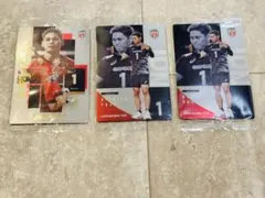 西田有志 男子日本代表バレーボール ツインウエハース3枚セット