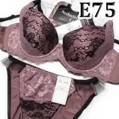 72[E75＆Ⅼ]Eleganteブラジャーショーツ　オールドローズ＆ブラックのサムネイル