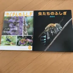 たくさんのふしぎ 44冊セット 楽天市場】たくさんのふしぎ 楽天ブックスの通販
