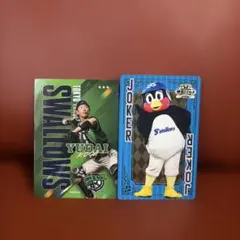 東京ヤクルトスワローズ カード2種類