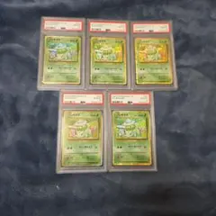 PSA6 ポケモンカード 旧裏 フシギバナ ホロ - メルカリ