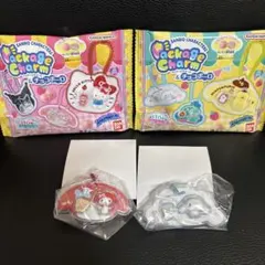サンリオキャラクターズパッケージチャーム2個セット