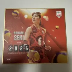バレーボール女子日本代表 関菜々巳トレーディングmini色紙 - メルカリ