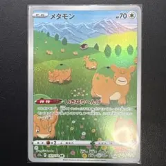 さばんなのかるがも様 リクエスト 2点 まとめ商品