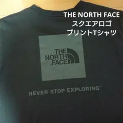 THE NORTH FACE NT31850 スクエアロゴラバープリントTシャツ