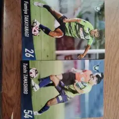 Item thumbnail for item 8c6f8385-50c9-48a1-82ca-f60563944680