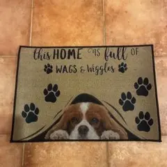 Item thumbnail for item c7e775c3-3dd8-4487-aae4-32ebc431a62f