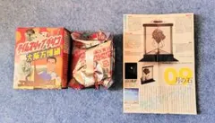 タイムスリップグリコ 大阪万博編 セット 月の石