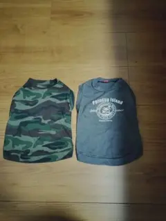 犬服 3号 2点セット　春用