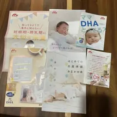 未使用に近い 森永乳業 出産準備 ビフィズス菌 DHA 西松屋
