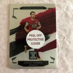 Panini Impeccable Ashley Barnes /57