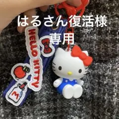 はるさん復活様 リクエスト 2点 まとめ商品