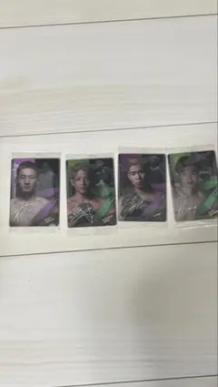 RIZINウエハース未開封サイン入りカード