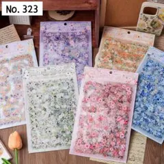 Item thumbnail for item 2fba3aab-2502-47a2-b341-07affebd5bf5