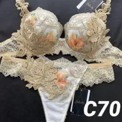 サルート 事前予約コレクション 40G ブラジャー ソングセット F75