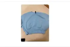 ショート丈 クロップド丈 スウェット トレーナー ブルー