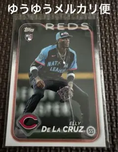 antyorina様 リクエスト 2点 まとめ商品