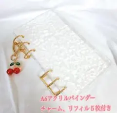 アクリルバインダー saving A6 リフィル 家計簿 貯金バインダー　韓国