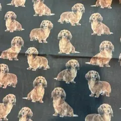 Item thumbnail for item 9cd0e78f-d62e-409f-b152-9610d19a68c4