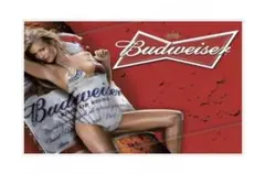 Item thumbnail for item dcb43fff-c5e4-4ad3-a380-992e8471792c