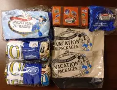 東京ディズニーリゾート バケーションパッケージ グッズセット