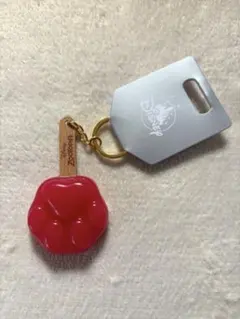 ズートピア キーホルダー キーチェーン アイスキャンディ ディズニーストア