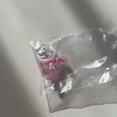 ぼんぼんりぼん めじるしアクセサリー サンリオ