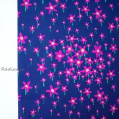 リバティ119.スターリー・ナイトタナローンファブリックス はぎれ布生地 ネイビ