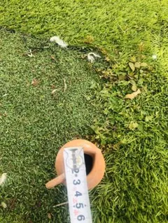 Item thumbnail for item 59ffffbc-1d22-4bf5-9325-9bba66e0d53f