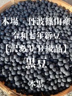 本場丹波篠山産　丹波黒豆【令和7年新豆】Ｂ級品6００g生産者直送　残り３個