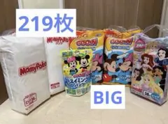 GOO.N 紙おむつ BIGサイズ 164枚、水遊び用紙オムツ14枚 - メルカリ