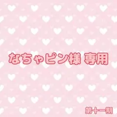 なちゃピン様 専用