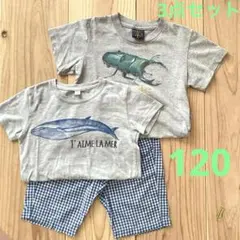 UNIQLOチェックパンツセット120 ・クジラ&クワガタTシャツ2枚のサムネイル