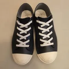 Item thumbnail for item e81d1d22-c1ba-4d24-9da1-3815d9065509