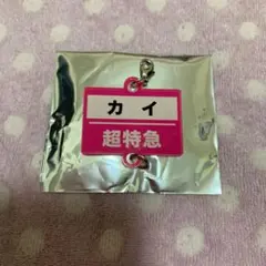 エビライ ランダムグッズ 超特急 カイ アクリルチャーム （名前）