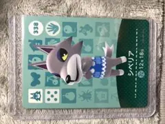 どうぶつの森 amiiboカード　シベリア
