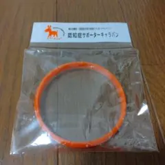 Item thumbnail for item 2ed74c71-5611-4b56-af9c-3220bc91e841