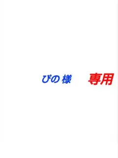 【 ぴの 様 専用 】リクエスト 2点★まとめ商品★両面補強★