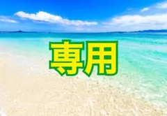 ⭐︎専用出品⭐︎