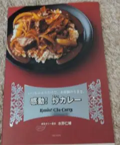 感動!炒カレー