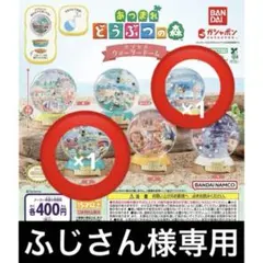 ふじさん様専用ページ