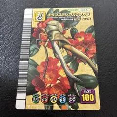 甲虫王者ムシキング エラフスホソアカクワガタ 5周年記念