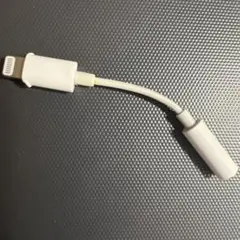 Apple純正lightning変換アダプターアダプター